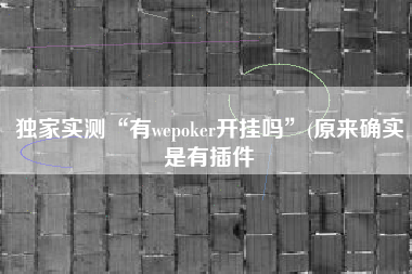 独家实测“有wepoker开挂吗”(原来确实是有插件