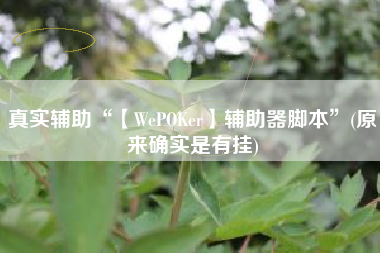 真实辅助“【WePOKer】辅助器脚本	”(原来确实是有挂)