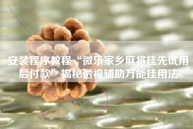 安装程序教程“微乐家乡麻将挂先试用后付款”揭秘透视辅助万能挂用法 安装程序教程“微乐家乡麻将挂先试用后付款”揭秘透视辅助万能挂用法