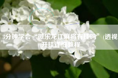 3分钟学会“微乐龙江麻将有挂吗”(透视)开挂详细教程 3分钟学会“微乐龙江麻将有挂吗”(透视)开挂详细教程