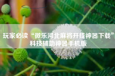 玩家必读“微乐河北麻将开挂神器下载”科技辅助神器手机版