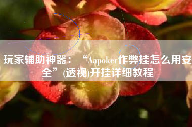 玩家辅助神器：“Aapoker作弊挂怎么用安全	”(透视)开挂详细教程