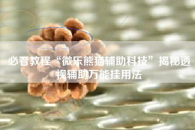 必看教程“微乐熊猫辅助科技”揭秘透视辅助万能挂用法