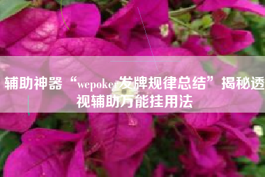 辅助神器“wepoker发牌规律总结”揭秘透视辅助万能挂用法