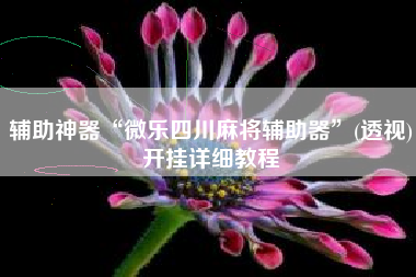 辅助神器“微乐四川麻将辅助器”(透视)开挂详细教程