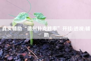 真实辅助“德州扑克胜率	”开挂(透视)辅助