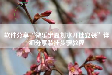 软件分享“微乐宁夏划水开挂安装	”详细分享装挂步骤教程