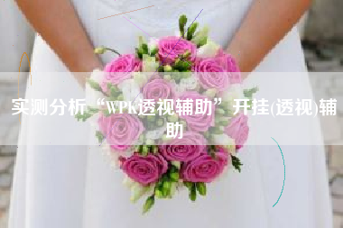 实测分析“WPK透视辅助”开挂(透视)辅助