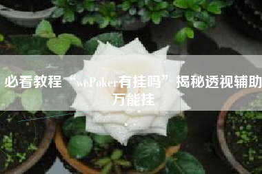 必看教程“wePoker有挂吗”揭秘透视辅助万能挂