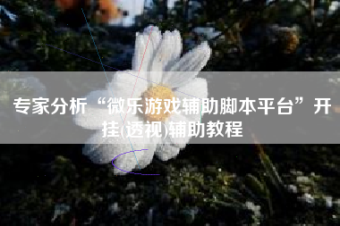 专家分析“微乐游戏辅助脚本平台”开挂(透视)辅助教程