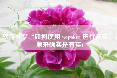 软件分享“如何使用 wepoker 进行开挂	”(原来确实是有挂)