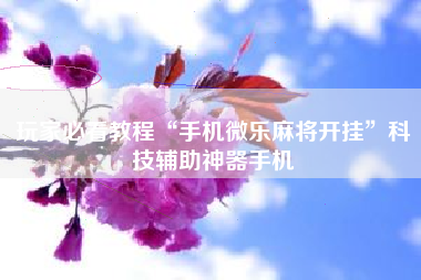 玩家必看教程“手机微乐麻将开挂”科技辅助神器手机