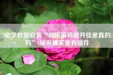 必学教你安装“微乐麻将能开挂是真的吗”(原来确实是有插件