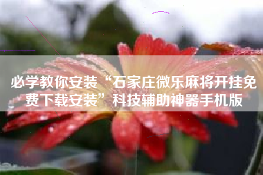 必学教你安装“石家庄微乐麻将开挂免费下载安装”科技辅助神器手机版