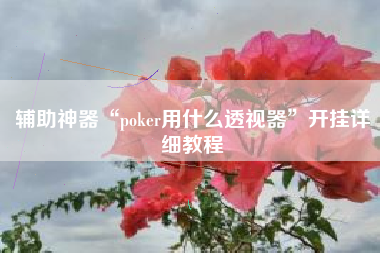 辅助神器“poker用什么透视器”开挂详细教程