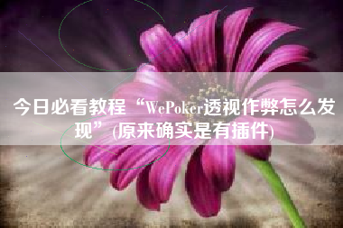 今日必看教程“WePoker透视作弊怎么发现	”(原来确实是有插件)