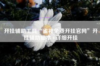 开挂辅助工具“雀神免费开挂官网”开挂辅助脚本+详细开挂