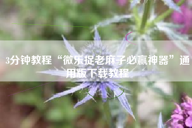 3分钟教程“微乐捉老麻子必赢神器”通用版下载教程