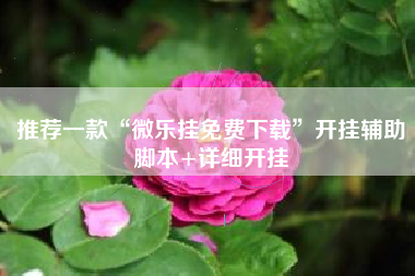 推荐一款“微乐挂免费下载”开挂辅助脚本+详细开挂