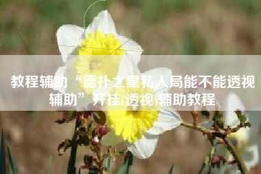 教程辅助“德扑之星私人局能不能透视辅助	”开挂(透视)辅助教程