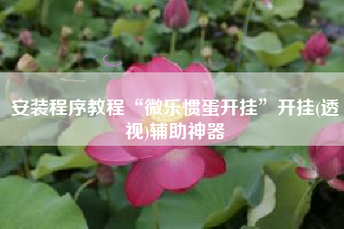 安装程序教程“微乐惯蛋开挂	”开挂(透视)辅助神器