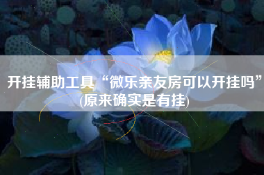 开挂辅助工具“微乐亲友房可以开挂吗”(原来确实是有挂)