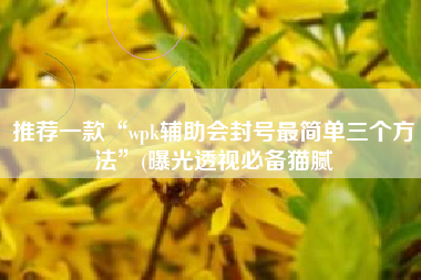推荐一款“wpk辅助会封号最简单三个方法”(曝光透视必备猫腻