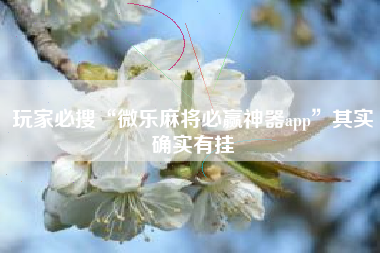 玩家必搜“微乐麻将必赢神器app	”其实确实有挂