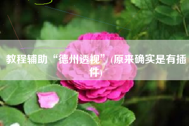 教程辅助“德州透视”(原来确实是有插件)