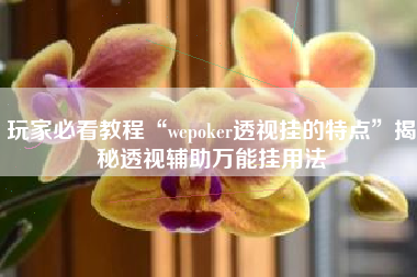 玩家必看教程“wepoker透视挂的特点	”揭秘透视辅助万能挂用法