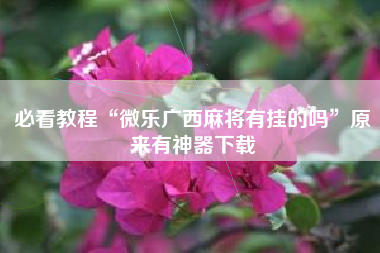 必看教程“微乐广西麻将有挂的吗”原来有神器下载