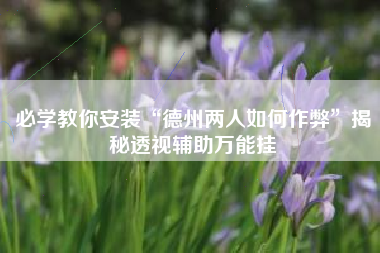必学教你安装“德州两人如何作弊”揭秘透视辅助万能挂