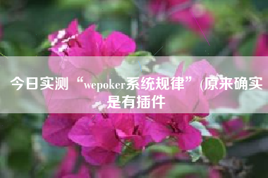 今日实测“wepoker系统规律	”(原来确实是有插件