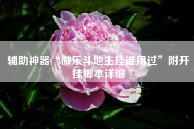 辅助神器“微乐斗地主挂谁用过	”附开挂脚本详细