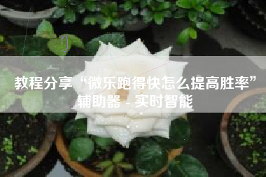 教程分享“微乐跑得快怎么提高胜率	”辅助器 - 实时智能