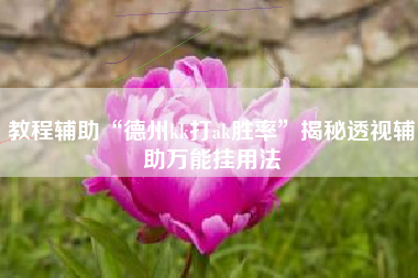 教程辅助“德州kk打ak胜率	”揭秘透视辅助万能挂用法