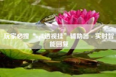 玩家必搜“wpk透视挂”辅助器 - 实时智能回复