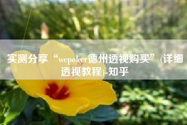 实测分享“wepoker德州透视购买”(详细透视教程)-知乎