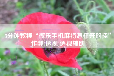 3分钟教程“微乐手机麻将怎样开的挂”作弊(透视)透视辅助