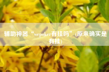 辅助神器“wepoker有挂吗”(原来确实是有挂)
