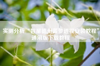 实测分析“智星德州菠萝透视安装教程”通用版下载教程