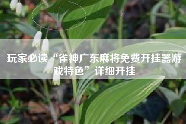 玩家必读“雀神广东麻将免费开挂器游戏特色”详细开挂