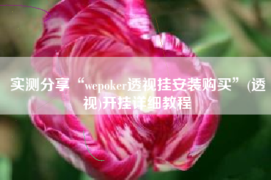 实测分享“wepoker透视挂安装购买”(透视)开挂详细教程