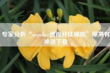 专家分析“wepoker透视开挂辅助”原来有神器下载