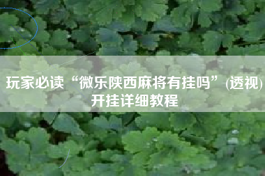 玩家必读“微乐陕西麻将有挂吗	”(透视)开挂详细教程