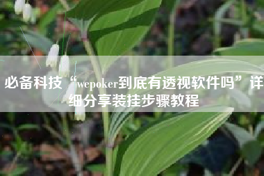 必备科技“wepoker到底有透视软件吗”详细分享装挂步骤教程