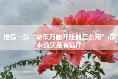 推荐一款“微乐万能开挂器怎么用”(原来确实是有插件)