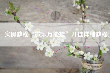 实操教程“微乐万能挂	”开挂详细教程