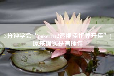 3分钟学会“pokerrrr2透视挂作弊开挂	”(原来确实是有插件