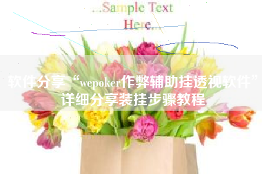 软件分享“wepoker作弊辅助挂透视软件”详细分享装挂步骤教程